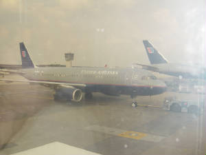 a319.jpg